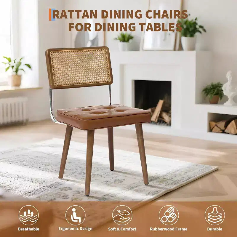 Set di 2 sedie da pranzo, sedie da cucina moderne in stile bohémien con schienale e gambe interamente in legno e seduta imbottita per sala da pranzo