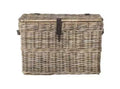 Amancio Trunk - SEA7021 - Grey - Safavieh